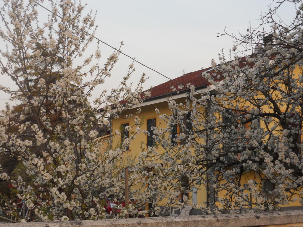 B&B Pervinca Rocca Grimalda Εξωτερικό φωτογραφία