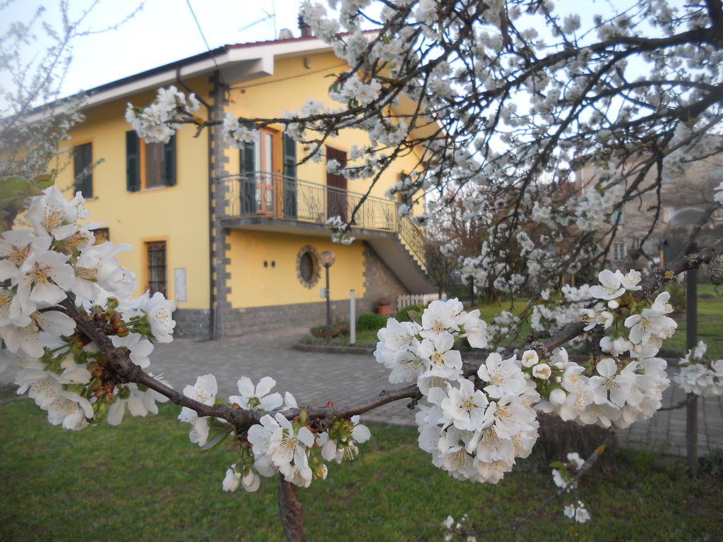 B&B Pervinca Rocca Grimalda Εξωτερικό φωτογραφία